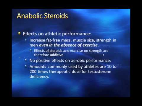 Steroid bridge cycles